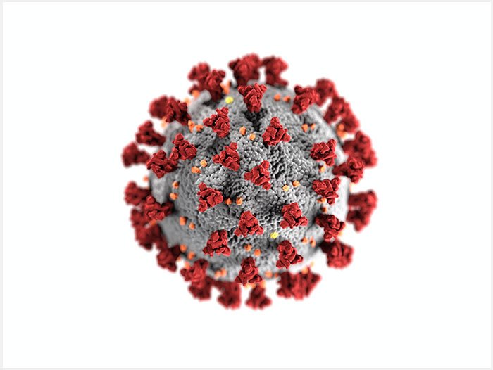 10043.jpeg 10043.jpeg