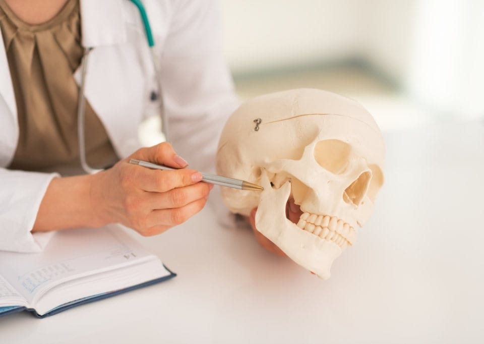anatomie-mensch-kopf-schaedel-arbeitsschutz-psa.jpeg anatomie-mensch-kopf-schaedel-arbeitsschutz-psa.jpeg